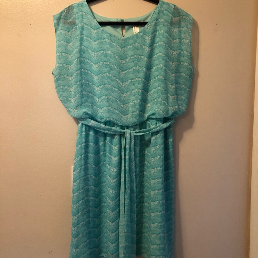Light Green Cap Sleeves Sheer Lined Knee Length
